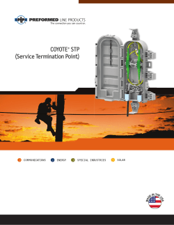 COYOTE&reg; STP (Service Termination Point)
