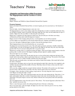 Adaptation and Interaction within Ecosystems The Hippopotamus