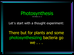 Photosynthesis - Moti Nissani`s Webpage