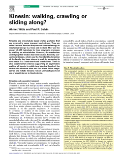 Kinesin: walking, crawling or sliding along?