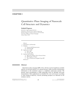 Quantitative Phase Imaging of Nanoscale Cell Structure