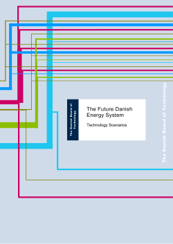 The Future Danish Energy System - Technology