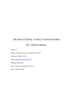 The Sons of Liberty: A Shove Towards Freedom By