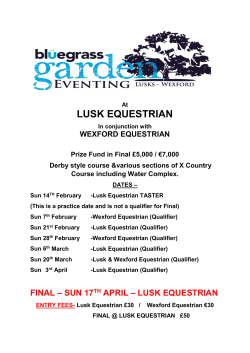 lusk equestrian - Lusk Horses Ireland