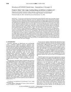 Structure of PAMAM Dendrimers: Generations 1