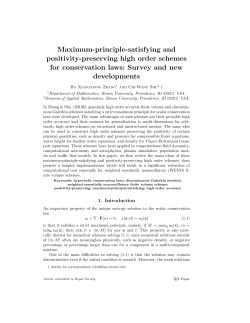 Maximum-principle-satisfying and positivity