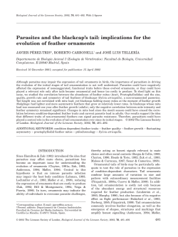 Parasites and the blackcap`s tail: implications for the evolution of