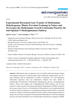 Experimental Horizontal Gene Transfer of Methylamine