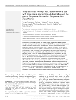 Streptobacillus felis sp. nov., isolated from a cat with pneumonia