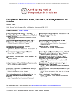 Diabetes -Cell Degeneration, and &beta; Endoplasmic Reticulum Stress