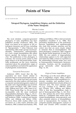 Tetrapod Phylogeny, Amphibian Origins, and the Definition of the
