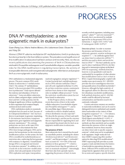 DNA N6-methyladenine: a new epigenetic mark in eukaryotes?