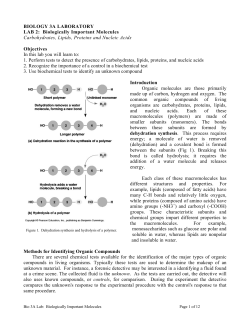 BIO 3A LAB 1: Biologically Important Molecules