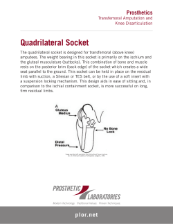 Quadrilateral Socket