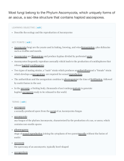 Most fungi belong to the Phylum Ascomycota, which