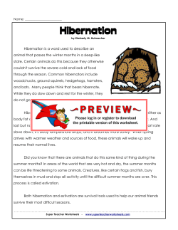 Hibernation - Super Teacher Worksheets