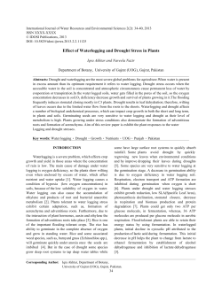 Effect of Waterlogging and Drought Stress in Plants