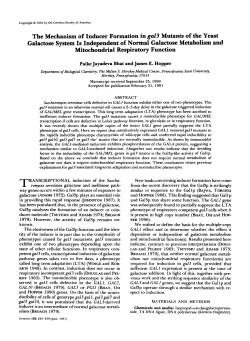 The Mechanism of Inducer Formation in ga23 Mutants of