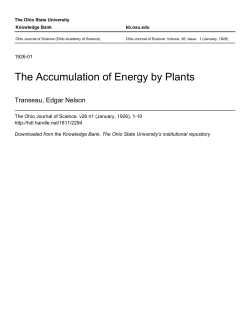 The Accumulation of Energy by Plants - Knowledge Bank