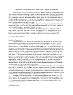 Diseases of DNA Repair for Share and Care