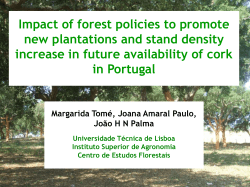 The cork oak system in Portugal