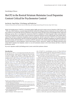 MeCP2 in the Rostral Striatum Maintains Local Dopamine Content