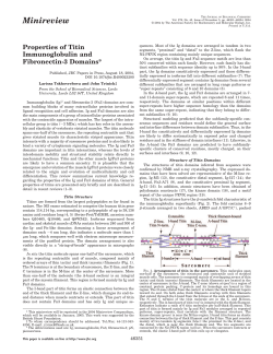 Properties of Titin Immunoglobulin and Fibronectin