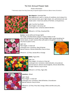 TLC ELC Annual Flower Sale