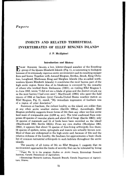 insects and related terrestrial invertebrates of ellef ringnes island