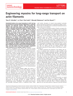 Engineering myosins for long-range transport on actin filaments