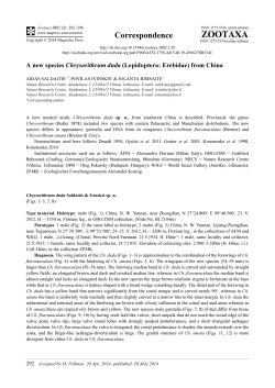 Preview - Magnolia press