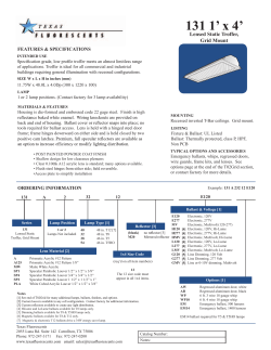 131 1` x 4` - Texas Fluorescents
