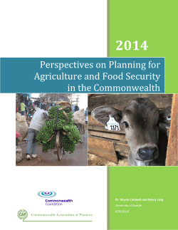 Perspectives on Planning for Agriculture and Food Security in the