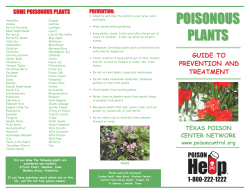 poisonous plants poisonous plants