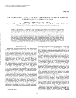 article new specimen reveals deltatheroidan affinities of the north