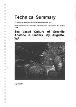 Technical Summary