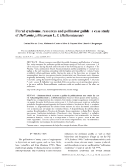 Floral syndrome, resources and pollinator guilds: a case study of