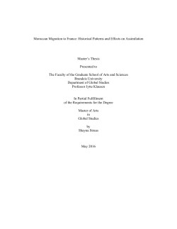 Moroccan Migration to France: Historical Patterns and