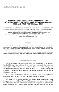 returning to the colony were counted. The number of flights were