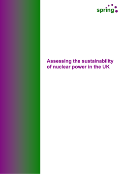Assessing the sustainability of nuclear power in the