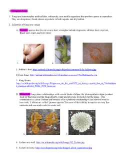 II. Kingdom Fungi 1. Fungi are heterotrophic multicellular, eukaryotic