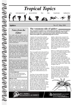 67 Spiders - Wet Tropics Management Authority
