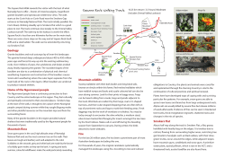 Square Rock - Environment, Planning and Sustainable