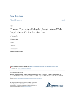 Current Concepts of Muscle Ultrastructure With Emphasis on Z