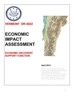 Irene Economic Impact Report