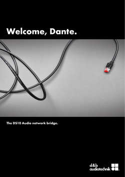 DS10 introductory brochure