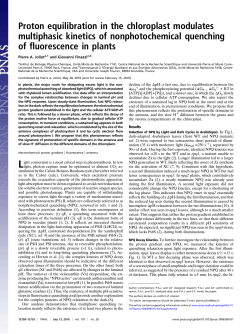 Proton equilibration in the chloroplast modulates multiphasic