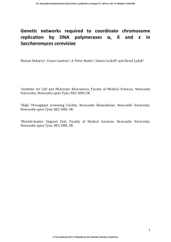 Genetic networks required to coordinate chromosome replication by