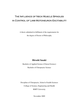 The Influence of Neck Muscle Spindles The Influence of Neck
