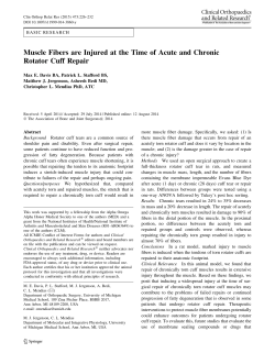 Muscle Fibers are Injured at the Time of Acute and Chronic Rotator